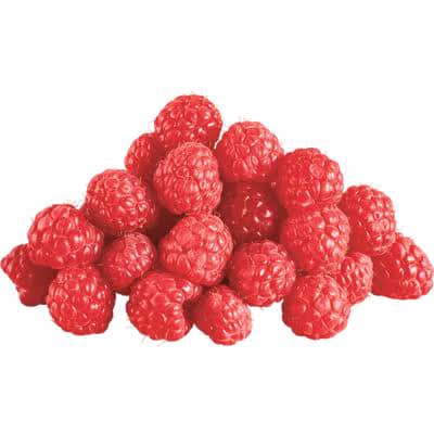 Raspberries: Nature’s Sweet and Nutrient-Rich Jewels