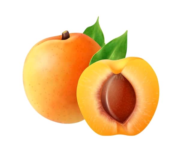 Peach: The Juicy Nutrient Elegance