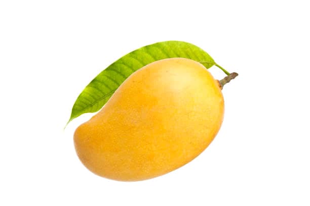 Mango: Nature’s Golden Nutrient Treasure