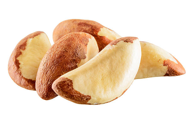 Brazil Nuts: Nature’s Nutritional Bounty