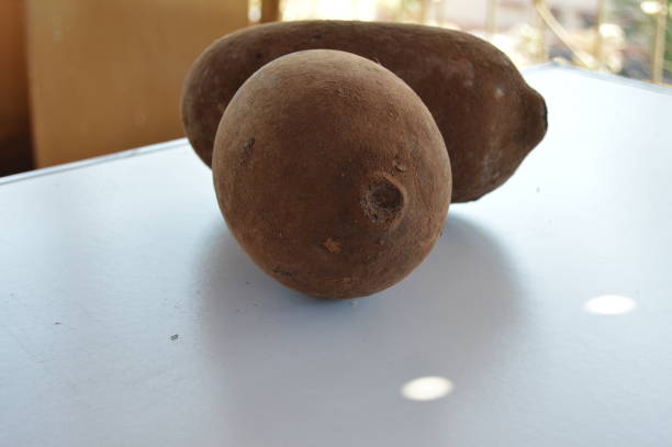Cupuaçu: The Amazonian Superfruit of Nutritional Marvel