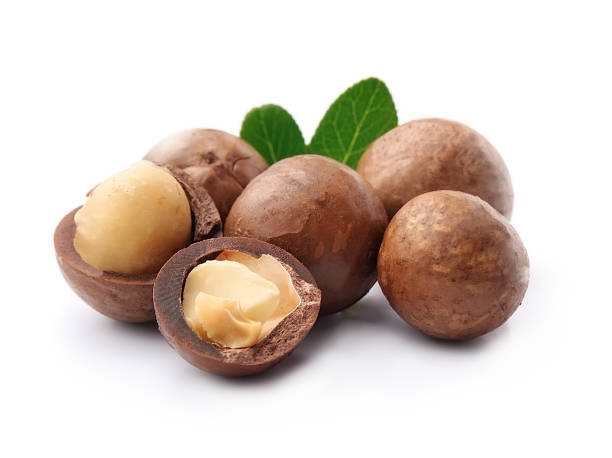 Macadamia Nuts: The Creamy Delight of Nutritional Excellence