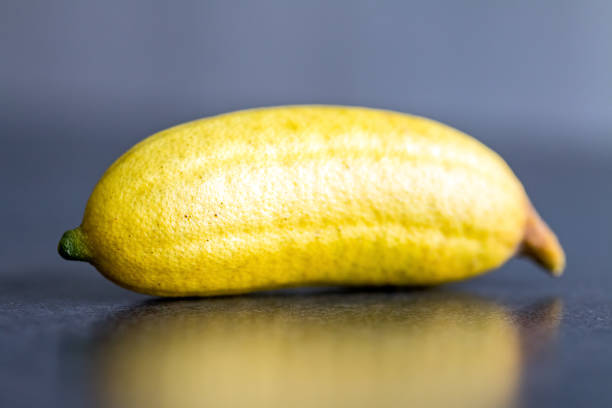 Finger Lime: The Jewel of Citrus with Nutritional Brilliance