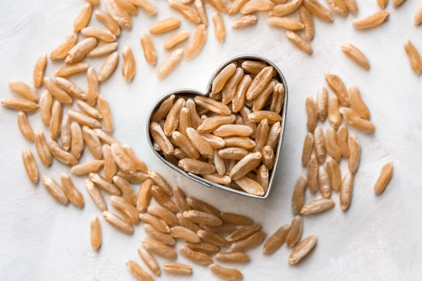 Kamut: The Nutrient-Rich Ancient Grain