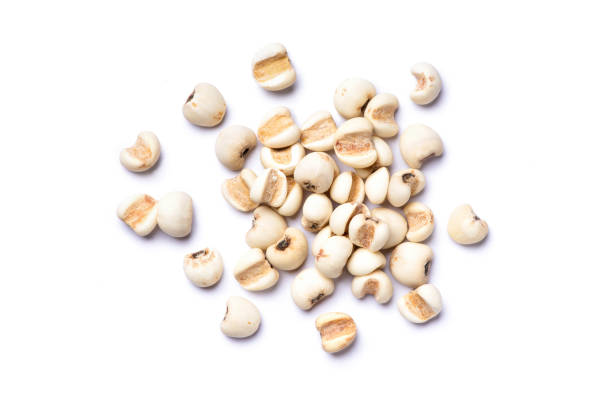 Job’s Tears: The Nutrient-Rich Grain Bridging Culinary Heritage and Healthful Abundance