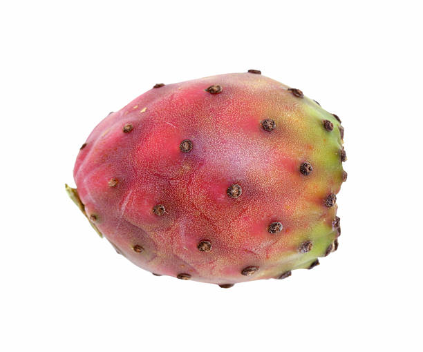 Cactus Pear: A Nutrient-Rich Prickly Delight