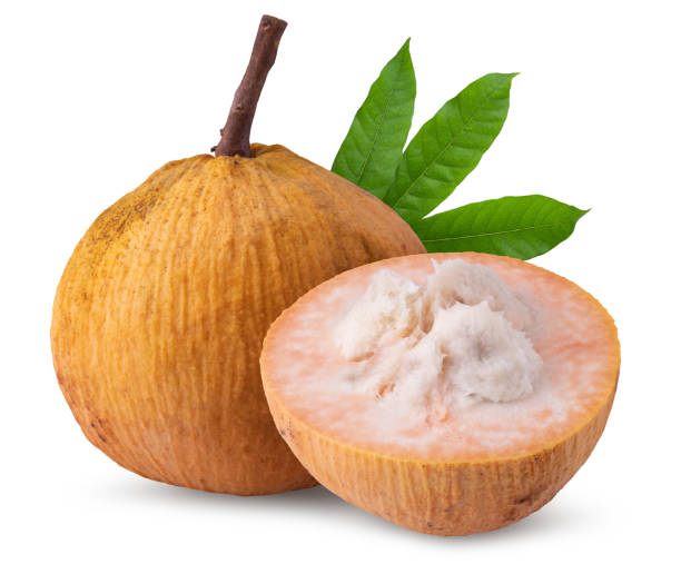 Santol: The Tropical Treasure of Southeast Asia