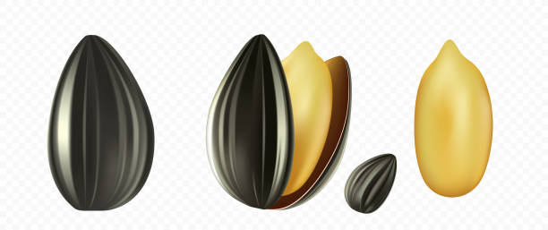 Sunflower Seeds: A Nutrient-Packed Snack